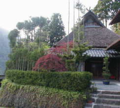 台杉に囲まれたかやぶき住宅の「上田家」